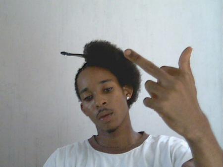 BiBron